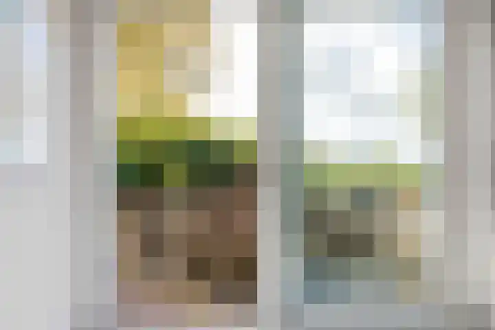 De Boech 27 Menaam thumbnail 17