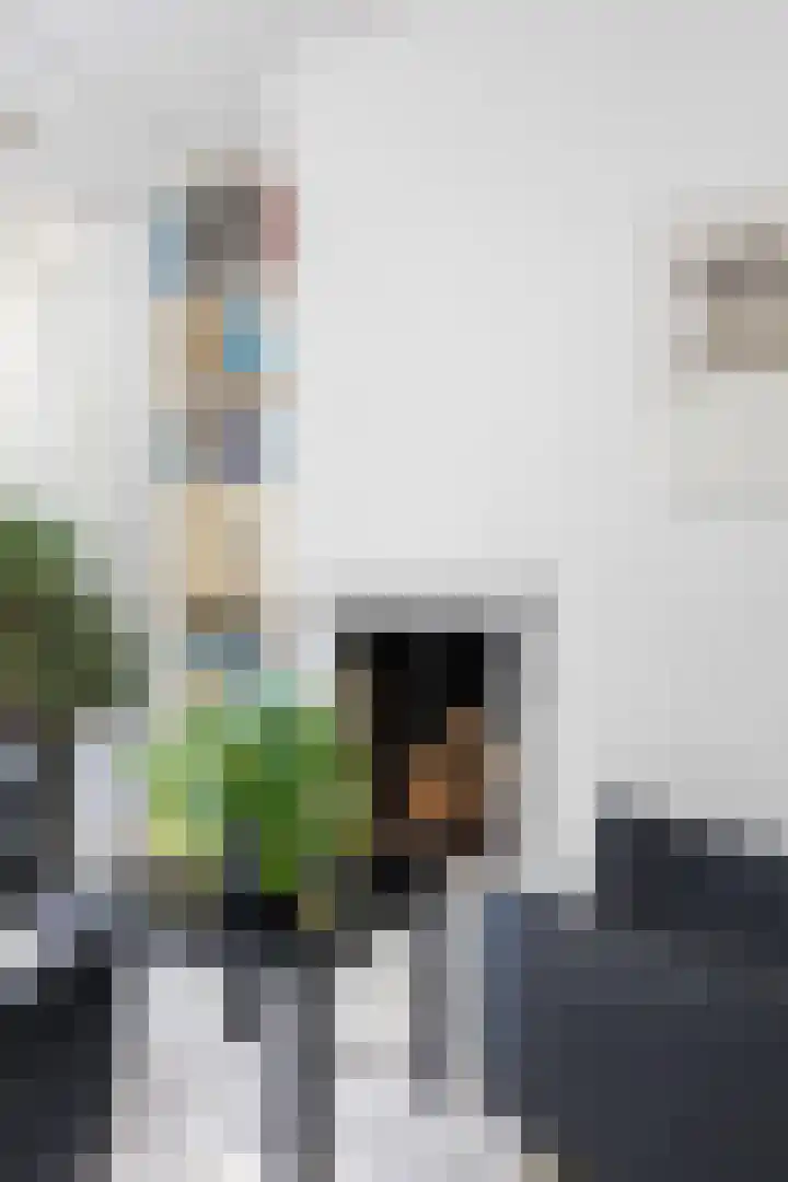 De Boech 27 Menaam thumbnail 18