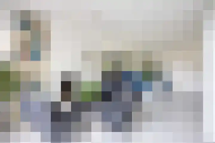 De Boech 27 Menaam thumbnail 19