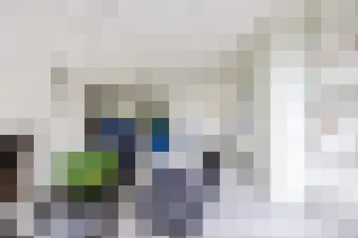 De Boech 27 Menaam thumbnail 20