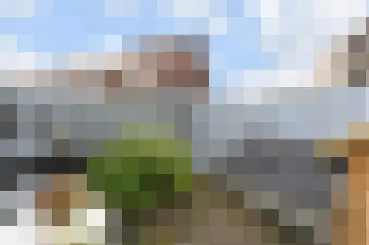 De Boech 27 Menaam thumbnail 23