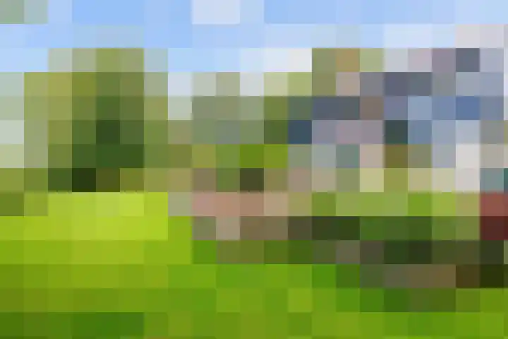 De Boech 27 Menaam thumbnail 4