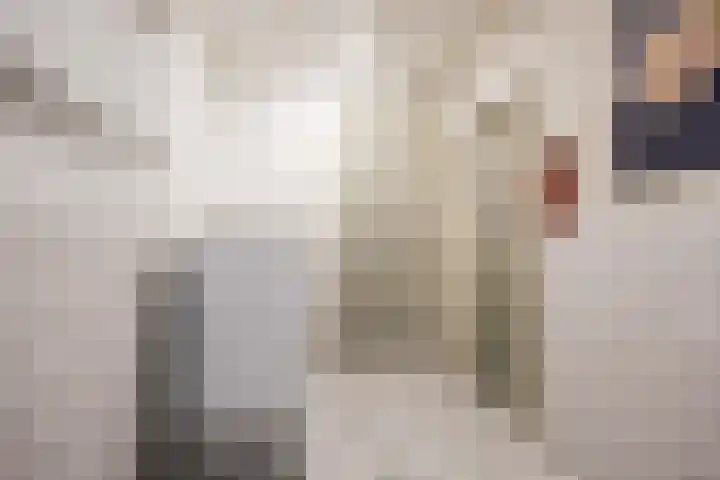 De Boech 27 Menaam thumbnail 42