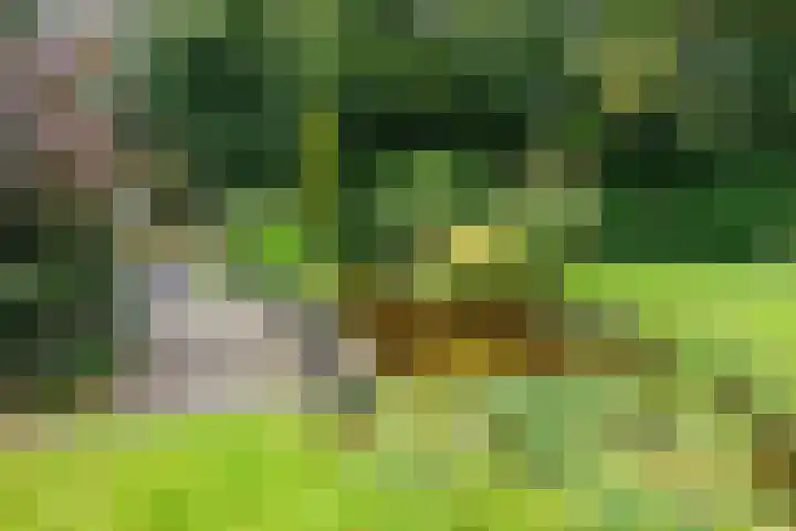 De Boech 27 Menaam thumbnail 5