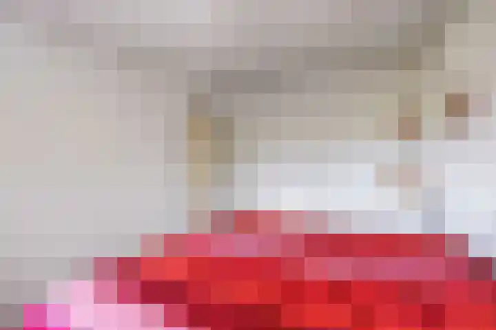De Boech 27 Menaam thumbnail 52
