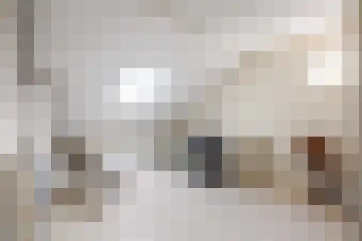 De Boech 27 Menaam thumbnail 53