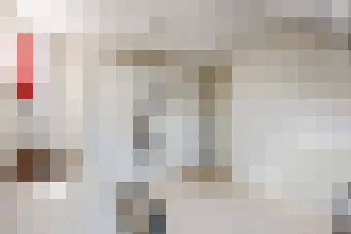 De Boech 27 Menaam thumbnail 55