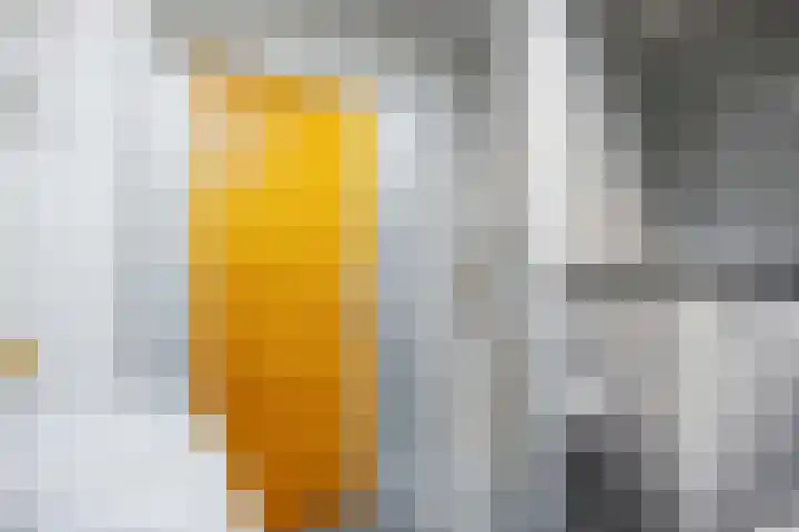 De Boech 27 Menaam thumbnail 58