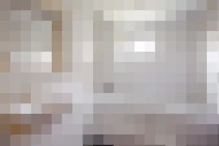 De Boech 27 Menaam thumbnail 62