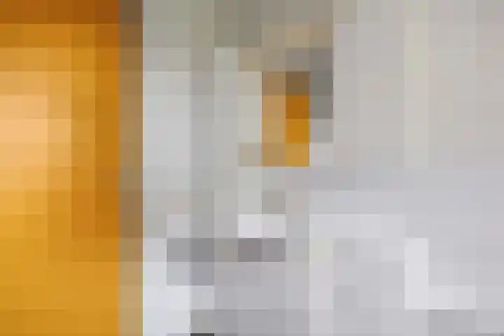 De Boech 27 Menaam thumbnail 64