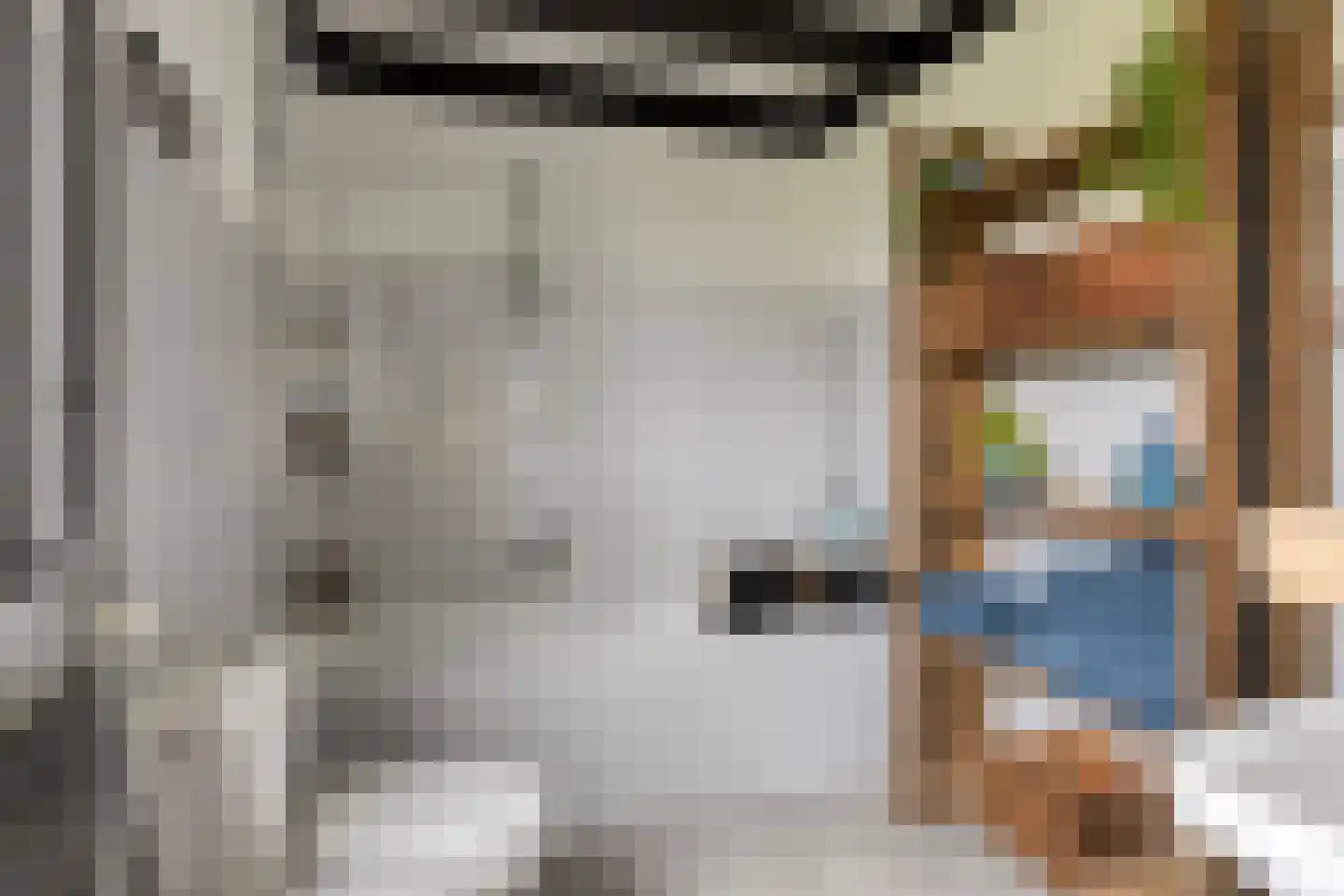De Boech 27 Menaam thumbnail 66