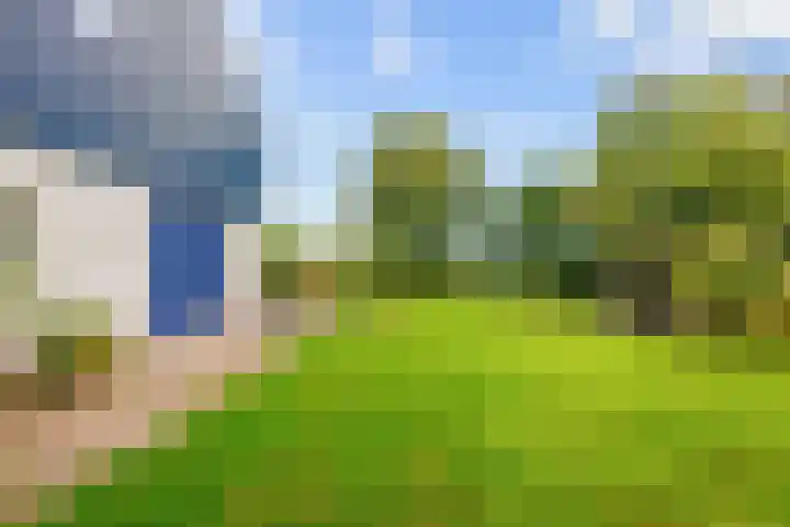 De Boech 27 Menaam thumbnail 66