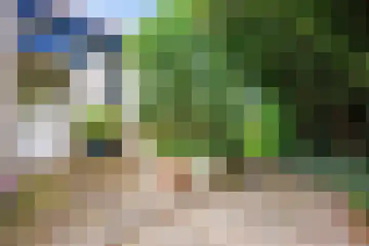 De Boech 27 Menaam thumbnail 7