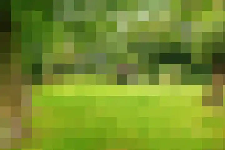 De Boech 27 Menaam thumbnail 70