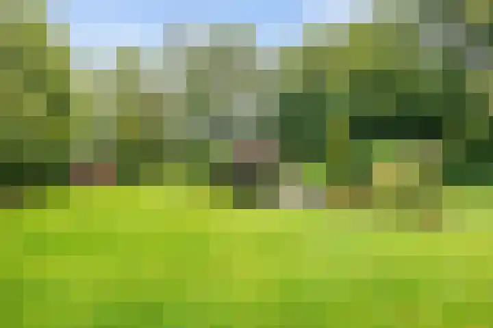 De Boech 27 Menaam thumbnail 71