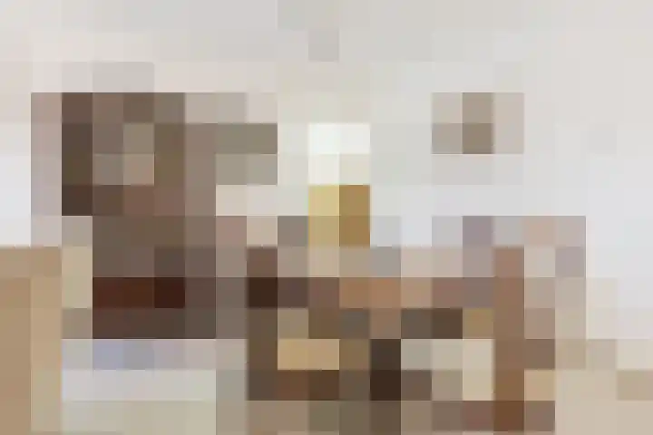 De Boech 27 Menaam thumbnail 73