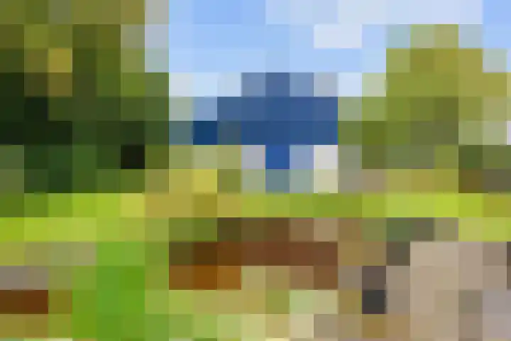 De Boech 27 Menaam thumbnail 74
