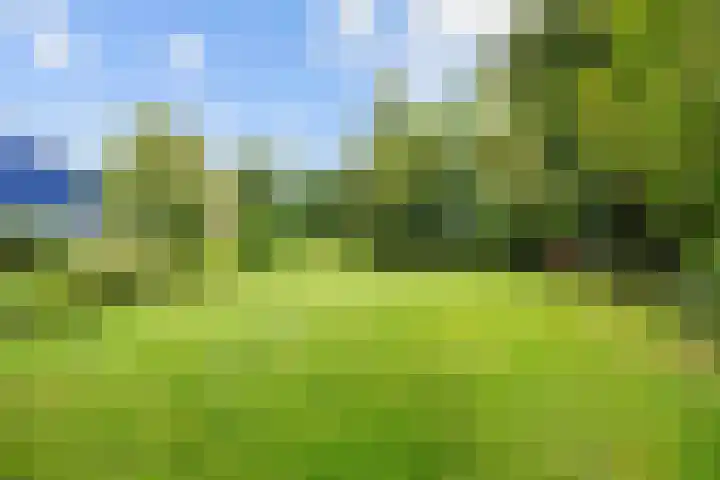 De Boech 27 Menaam thumbnail 77