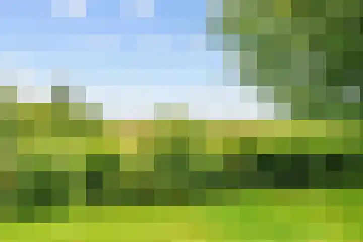De Boech 27 Menaam thumbnail 78