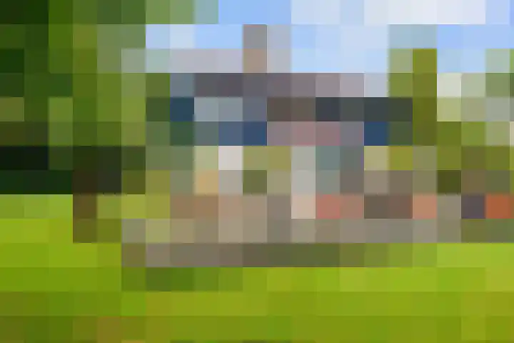 De Boech 27 Menaam thumbnail 81