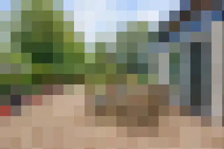 De Boech 27 Menaam thumbnail 82