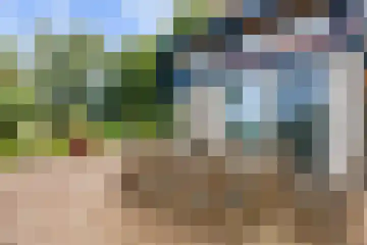 De Boech 27 Menaam thumbnail 83