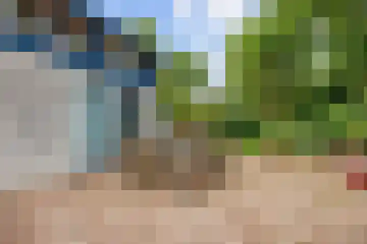 De Boech 27 Menaam thumbnail 84