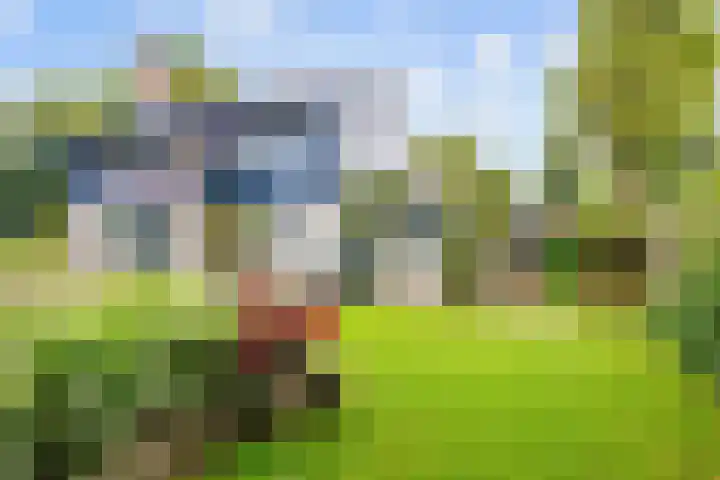 De Boech 27 Menaam thumbnail 85