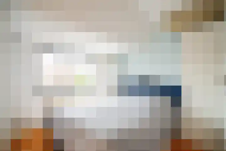 De Boech 27 Menaam thumbnail 86