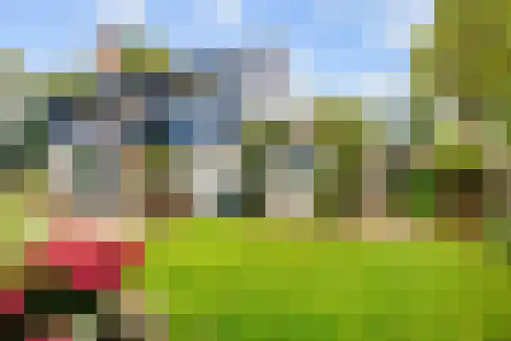 De Boech 27 Menaam thumbnail 86