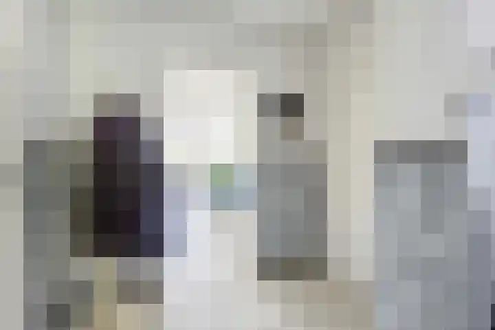 De Boech 27 Menaam thumbnail 9