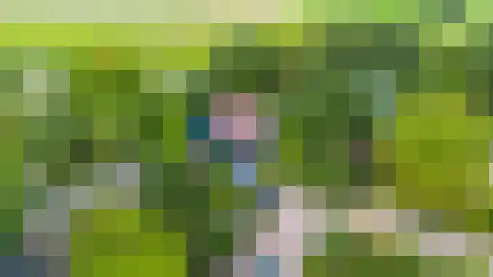 De Boech 27 Menaam thumbnail 95