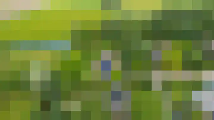 De Boech 27 Menaam thumbnail 96