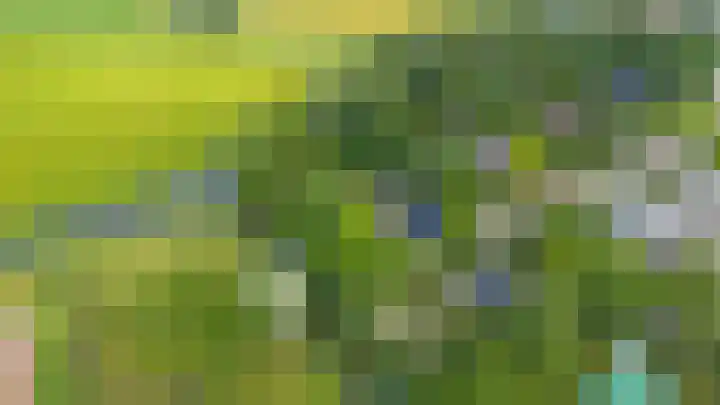 De Boech 27 Menaam thumbnail 97