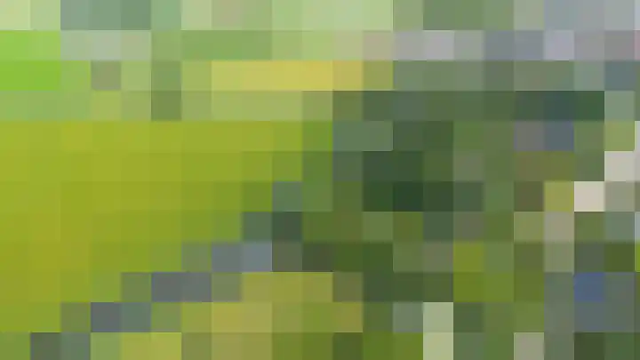 De Boech 27 Menaam thumbnail 98