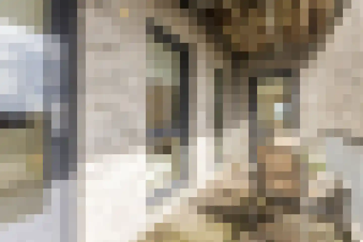 De Boeg 124 Zaandam thumbnail 38