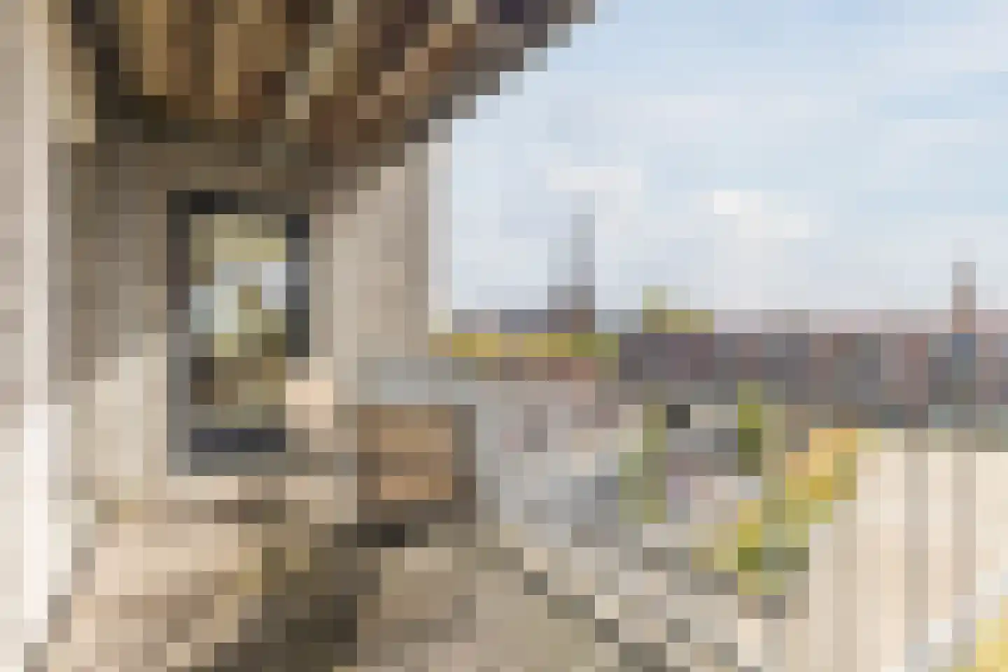 De Boeg 124 Zaandam thumbnail 7