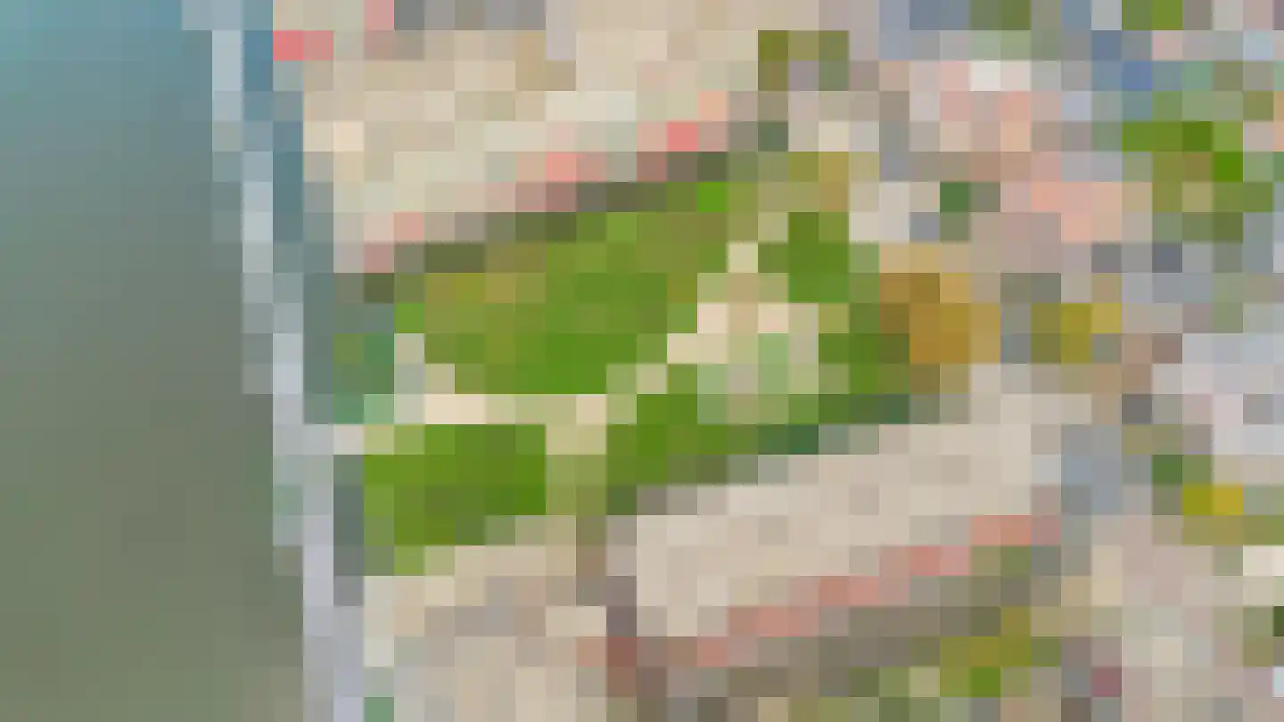 De Boeg 128 Zaandam thumbnail 68
