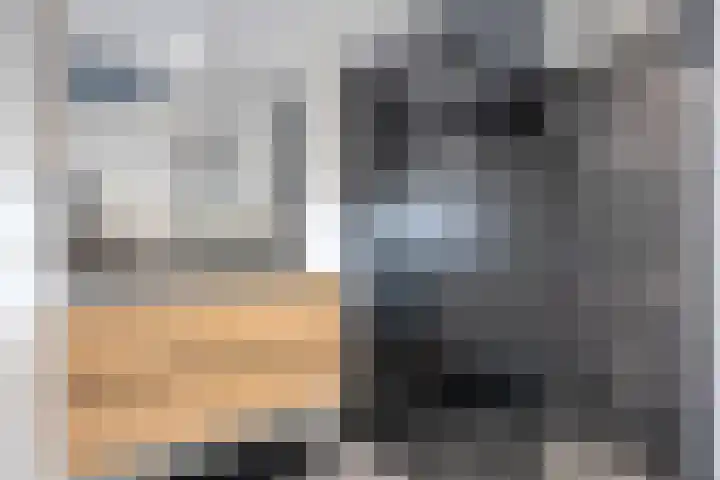 De Boeg 130 Zaandam thumbnail 26