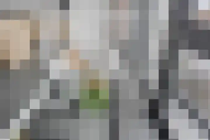 De Boeg 130 Zaandam thumbnail 5