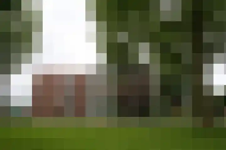 De Boeg 134 Dronten thumbnail 37