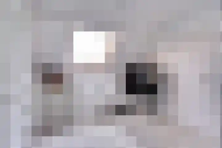 De Boeg 28 Hoogeveen thumbnail 35