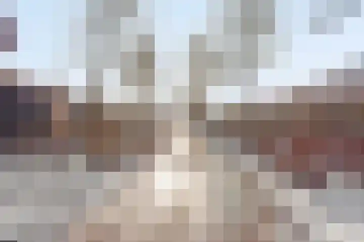 De Boeg 28 Hoogeveen thumbnail 42