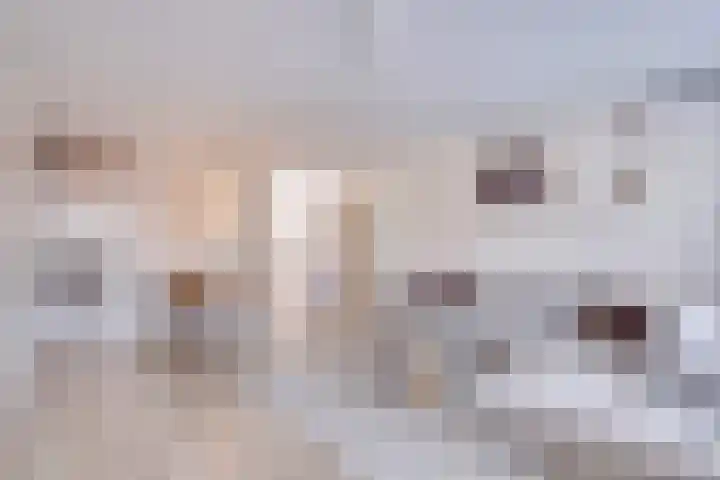 De Boeg 28 Hoogeveen thumbnail 5