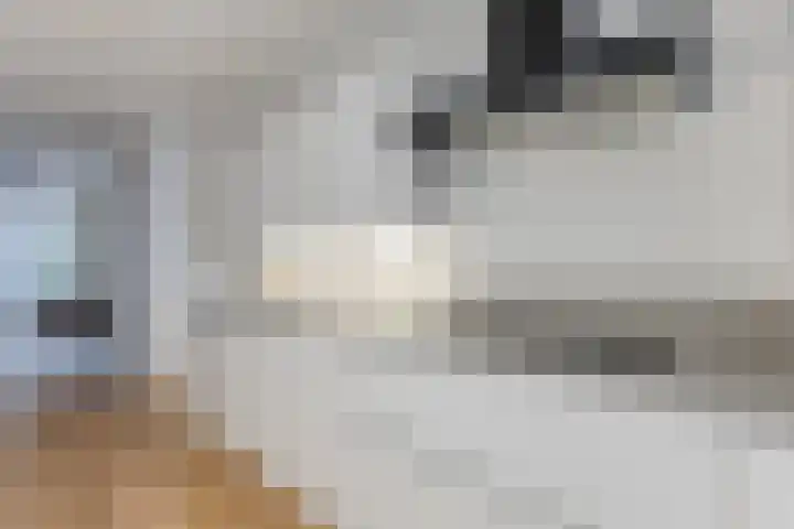 De Boeg 59 Zaandam thumbnail 9