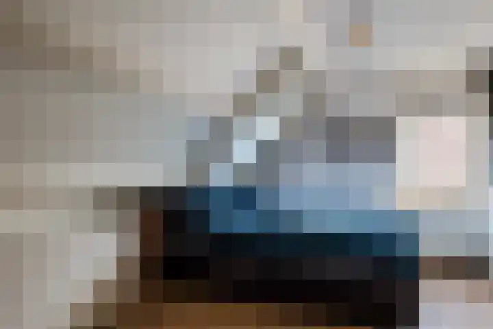 De Boeg 68 Hoogeveen thumbnail 15