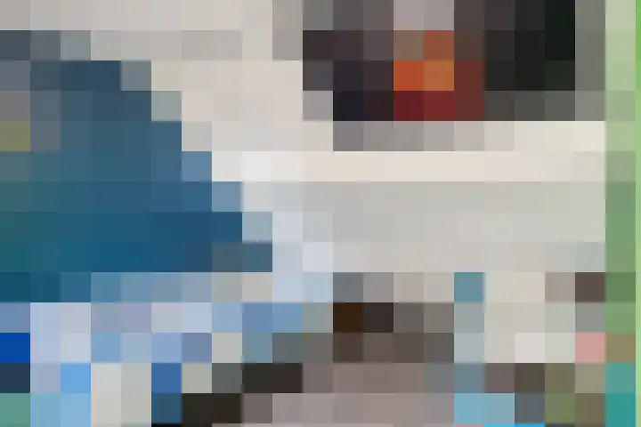 De Boeg 68 Hoogeveen thumbnail 26