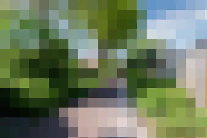 De Boeg 68 Hoogeveen thumbnail 32