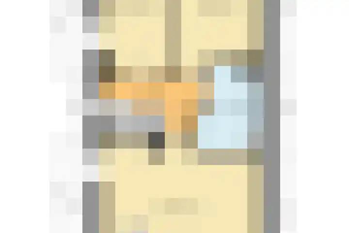 De Boeg 68 Hoogeveen thumbnail 36