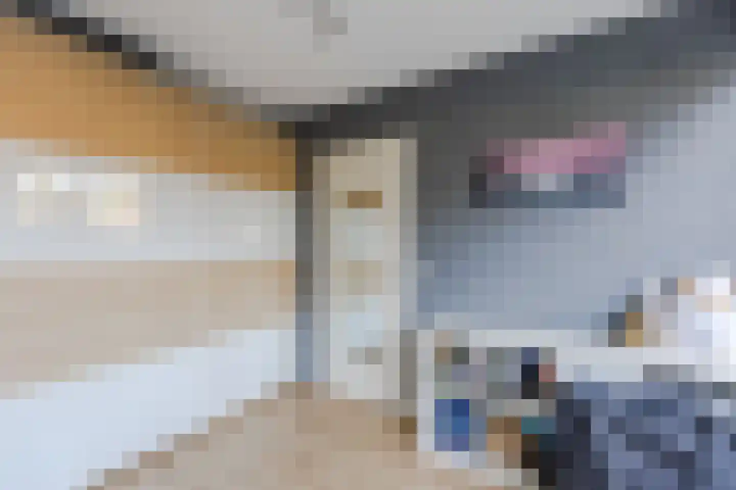 De Boeg 68 Zaandam thumbnail 8